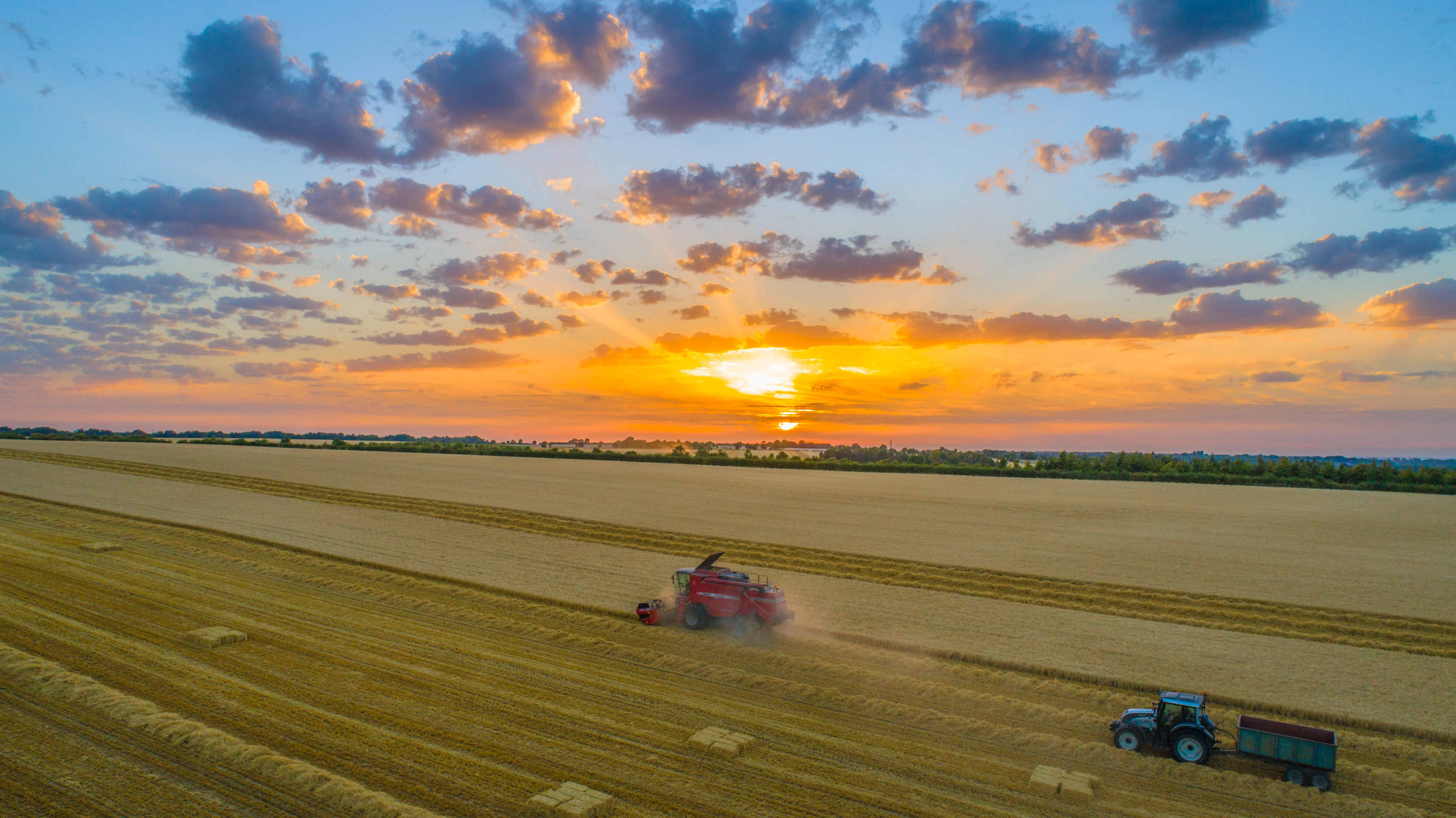 Harvesting at sunset